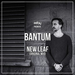 PREMIERE: Bantum - New Leaf (Original Mix)
