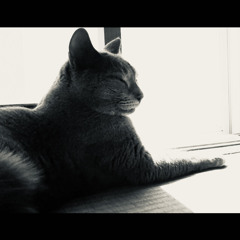 なつかしい匂い(Tang Tang Remix)