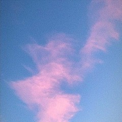 pink velour