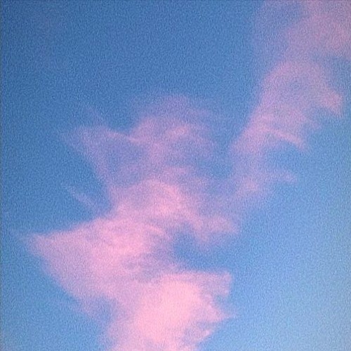 pink velour