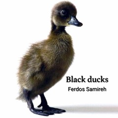 Black Duck ( Ferdos - Samireh )