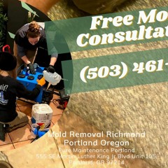 Mold Removal Richmond Portland Oregon - Pure Maintenance Portland - 503-461-1006