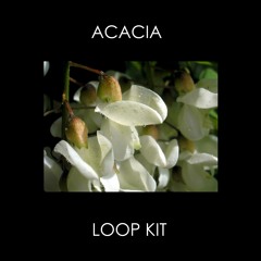 Acacia Loop Kit