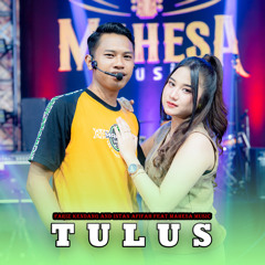 Tulus (feat. Mahesa Music)