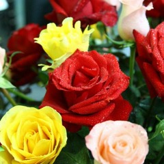 Roses (FlowStait Remix)