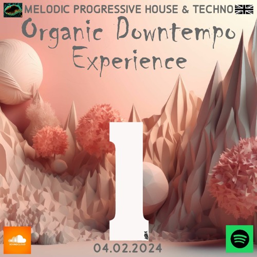 Organic Downtempo Experience 1 Deep Chill Ethno Afro Melodic Progressive House Techno Electronic DJ
