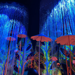 01 ORG HOUSE REC - 2024 - 02 - 08