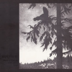 The Sad Song of the Wind