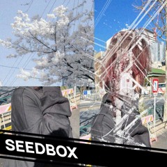 5v - kein zufall (SEEDBOX REMIX)