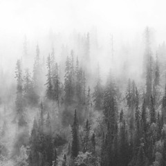 RŮDE - Wanderer