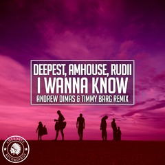 Deepest, AMHouse, Rudii - I Wanna Know (Andrew Dimas & Timmy Barg Remix)