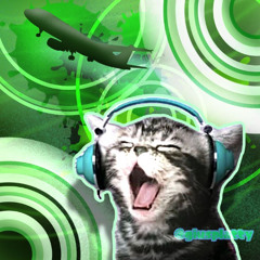 local cats worldwide