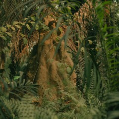 DJ Jodo - Vena (Rough Edit)