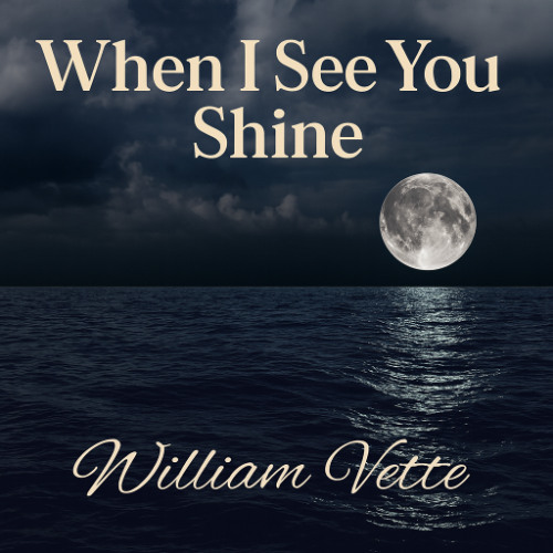 Stream VWK1 | Listen to When I See You Shine playlist online for free ...