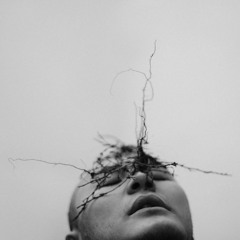 масло черного тмина - танцуй