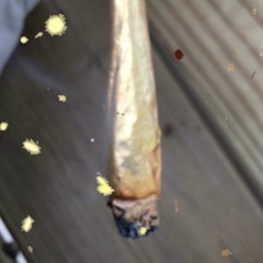 The Feels (prod. pieper beats)