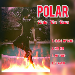 Cross My Mind - Pinto the Bean