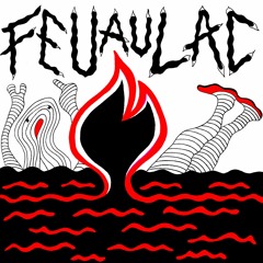 Feu Au Lac V​/​A Mixed by Mikro