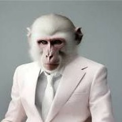 The monkey story