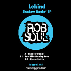 PREMIERE: Lekind - Feel Like Making Love [Robsoul Records]
