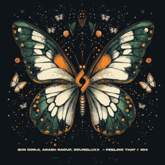 Idin Gorji, Soundluxx - 404 [Journey of the Soul]