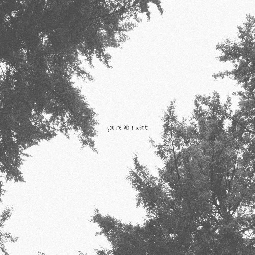 you're all i want