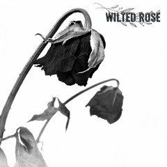 Wilted Rose