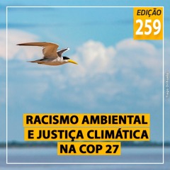 Racismo Ambiental e Justiça Climática na COP 27