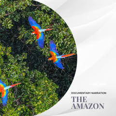 Documentary Narration: The Amazon