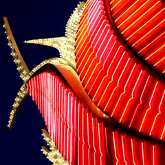 Casino Lights