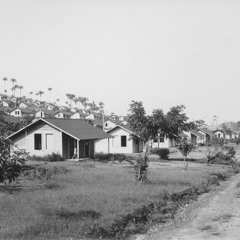 Episode 273-The Strange Story of Fordlandia