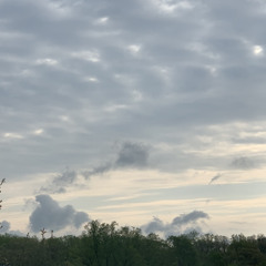 I don't need you anymore +cat fight