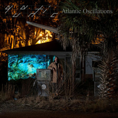 Quantic – Atlantic Oscillations