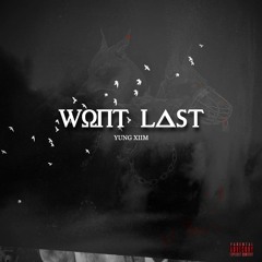Wont Last