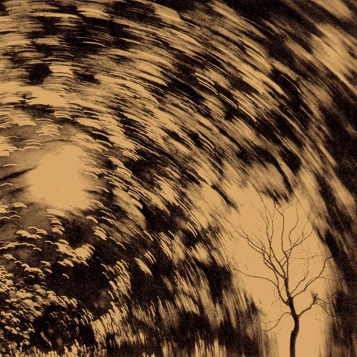 Forager Records - Dimensionless Unity Takeover 101024