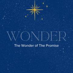 Wonder || The Promise || Pastor David