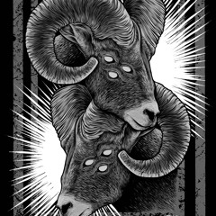 WOOL EYES
