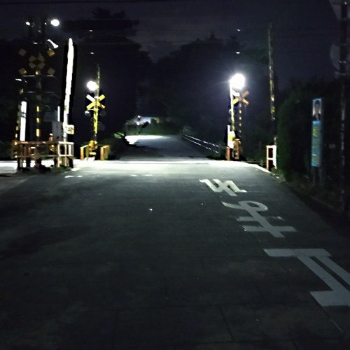 灯 ft.初音ミク(pd.serca_beatz)