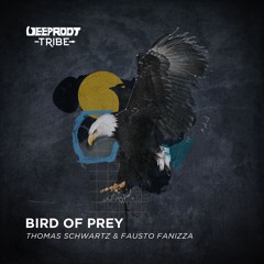 Thomas Schwartz, Fausto Fanizza - Bird Of Prey