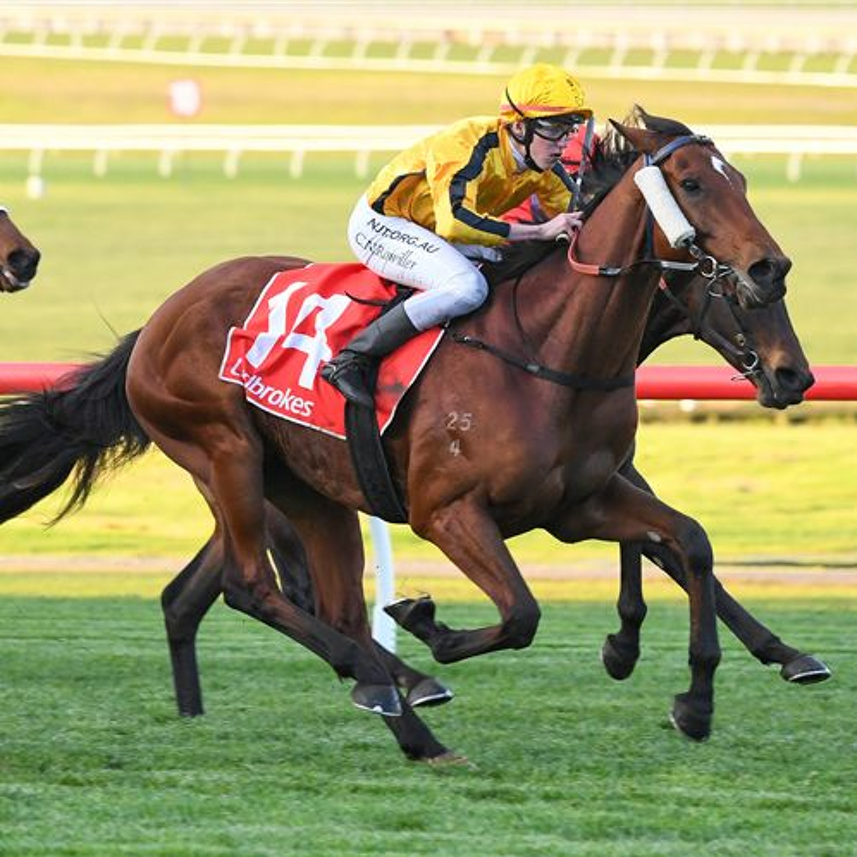 Oaks Day Punting Preview