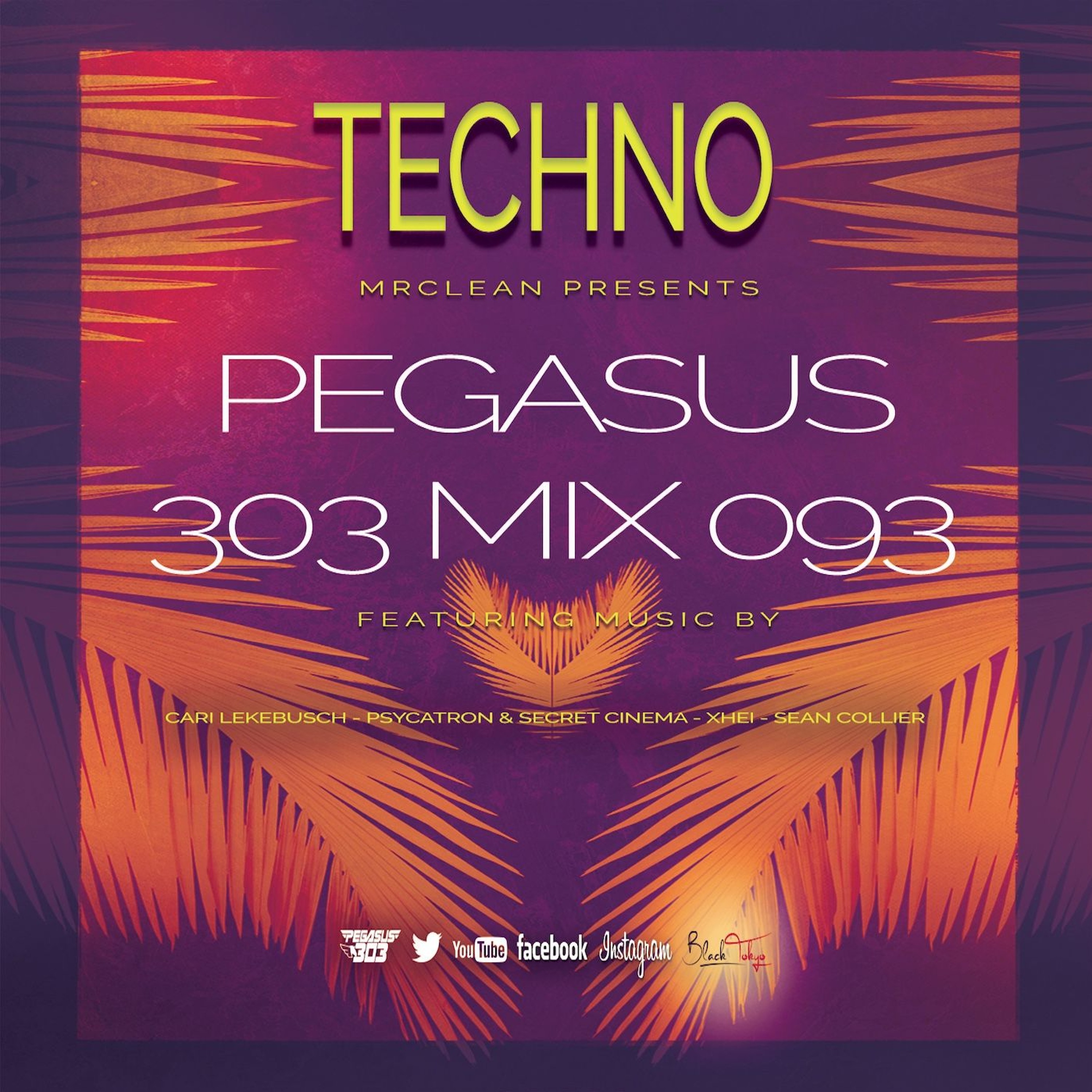 Pegasus 303 (mrclean)