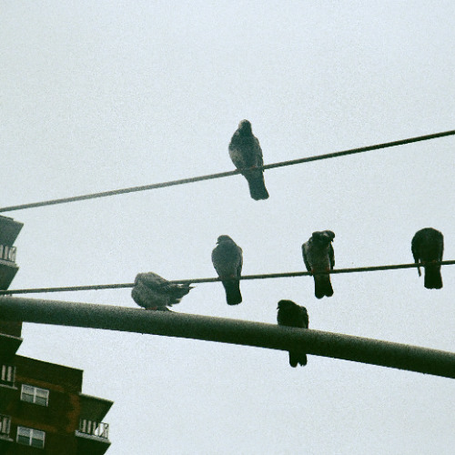 A Traveler's Conversation with God (demo)