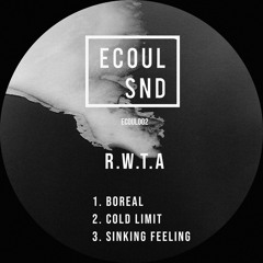 R.W.T.A - Sinking Feeling (Preview)