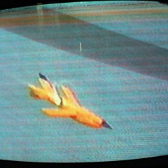 Elvis on a Satellite