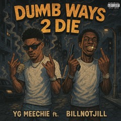 YG Meechie ft Billnotjill- DW2D