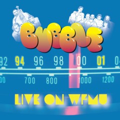 STEER THE WHEEL (BUBBLE LIVE ON WFMU 1994-2001)