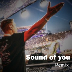 Armin van Buuren ft. Rob Swire - Sound of you (D&B Remix)
