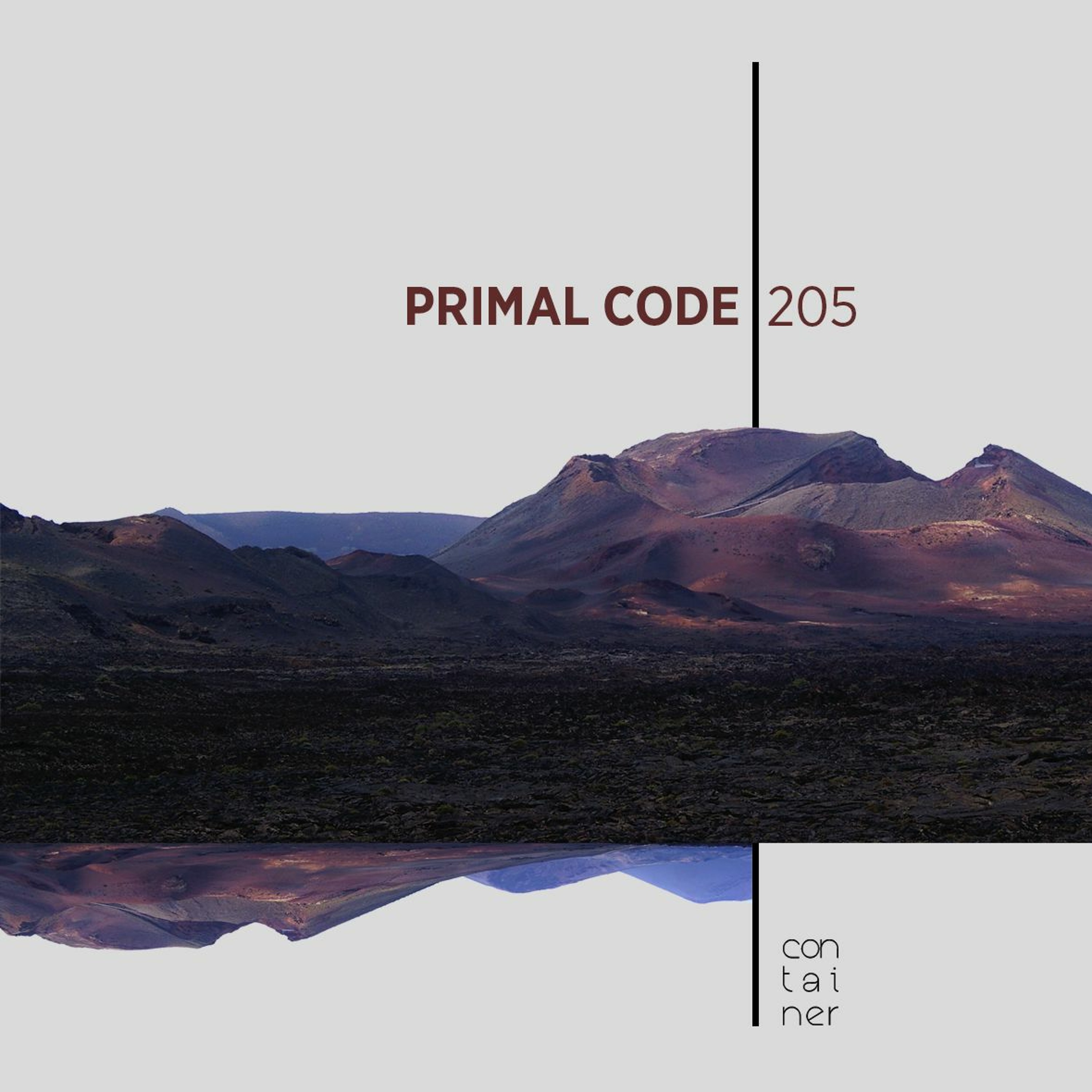 Container Podcast [205] Primal Code episode artwork
