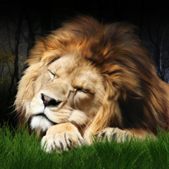 SOLID ROCK - Sleepin' Lion "REGGAE VOYAGE Sessions 🇰🇪" (19th Sept. '25)