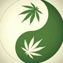 sativa prod. swertyside